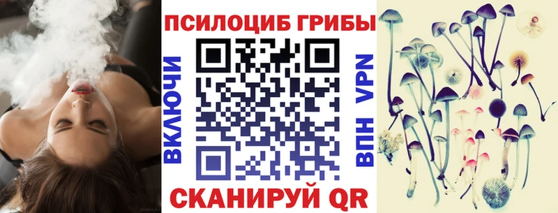Псилоцибиновые грибы ЛСД  Купить закладки  Андреаполь 
